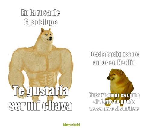 Los Cheems Meme Subido Por El Mati Memedroid