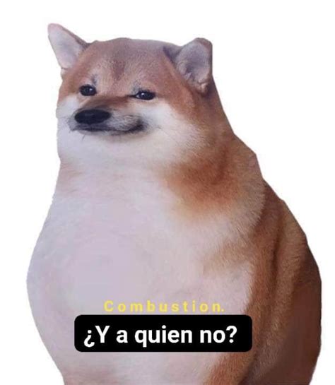 Pin De Ghost Girl En Meme De Cheems Memes Divertidos Memes Graciosos