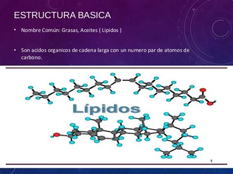 Estructura Del Lipido