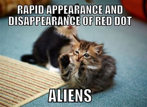 100 Funniest Cat Memes Ever