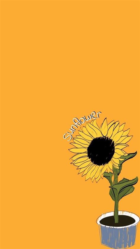 Maybe you would like to learn more about one of these? Cute Aesthetic Sunflower Wallpapers - Wallpaper Cave