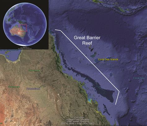 To do it justice, you'll need to go out on a boat. Witnessing a Murder: Snorkeling the Great Barrier Reef ...