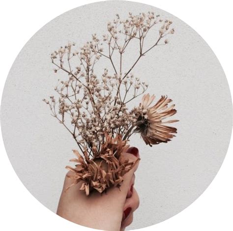 Download Tumblr Aesthetic Brown Flower Flowers Png Brown Tumblr