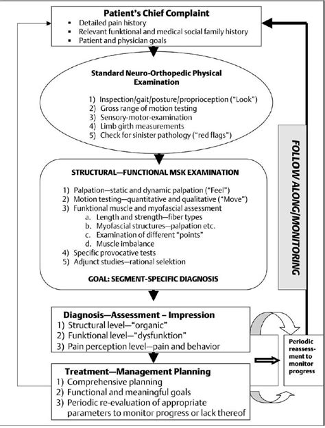 The Structural And Functional Neuro Musculoskeletal Examination