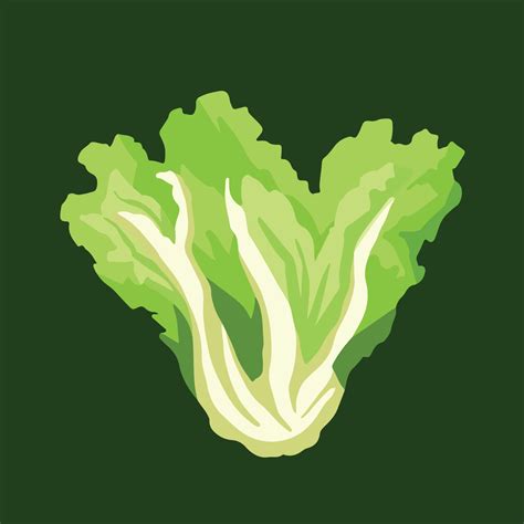 Lechuga Verde Hojas Vegetal Vector Ilustración Aislado En Verde