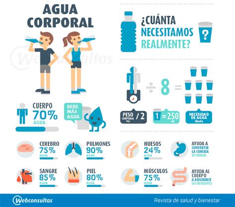 Necesidades De Agua En La Dieta Cuándo Aumentar Su Consumo