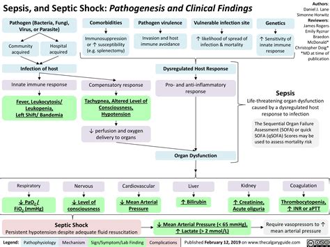 Sepsis Pathophysiology Diagram