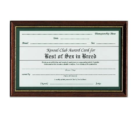 Best Of Sex Certificate Frame