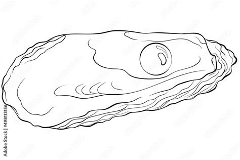 Oyster Shell With Pearl Vector Hand Drawn Line Art Illustration