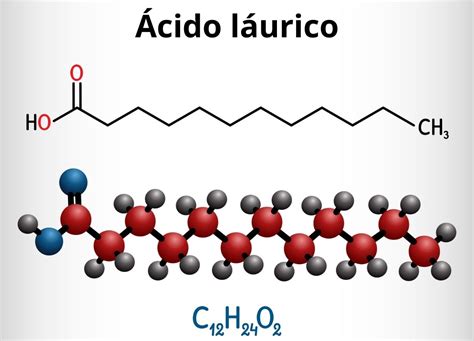 Lípidos Qué Son Características Ejemplos Estructura Función