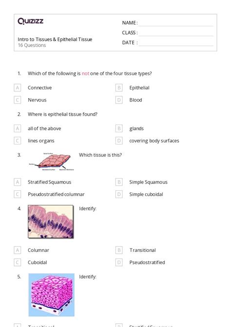 50 Tissues Worksheets On Quizizz Free Printable Worksheets Library