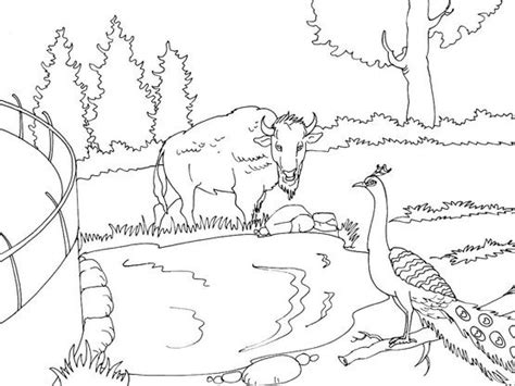 Coloriage Zoo 15 Coloriage Zoo Coloriages Animaux