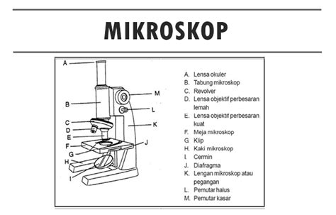 Alat Optik Pengertian Fungsi Jenis Dan Contoh