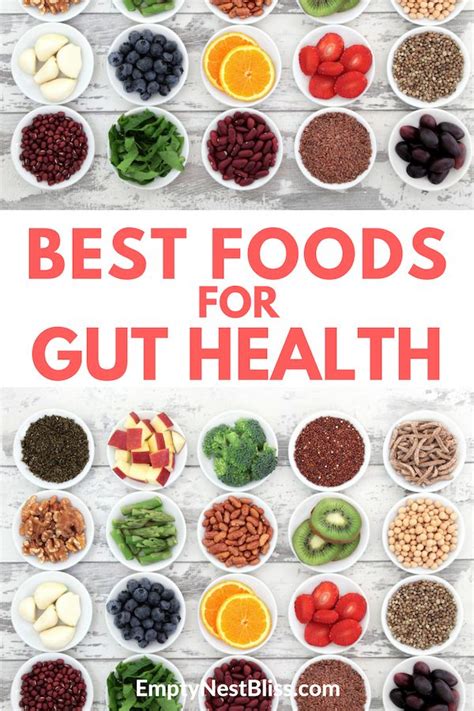 Ultimate Guide To Healing Your Gut And Boosting Your Health Gut