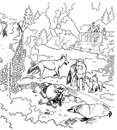 Coloriage Le Zoo Gratuit 11711 Animaux