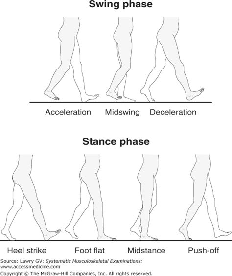 The Regional Musculoskeletal Examination Of The Neck Musculoskeletal Key