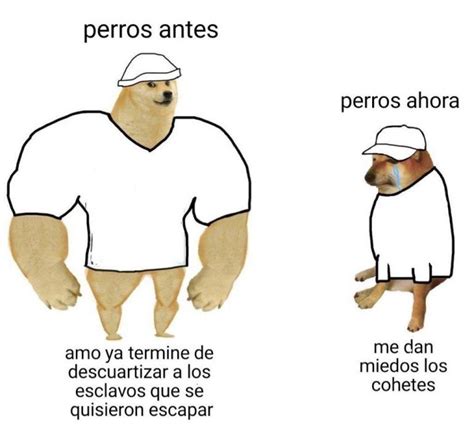 Doge Meme Vs Cheems Meme Perro Grande Perro Chico Memes En Español