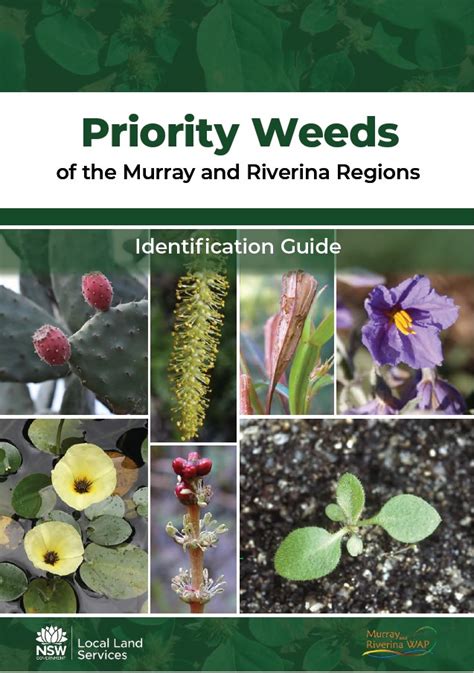 Priority Weeds Of The Murray And Riverina Regions Identification