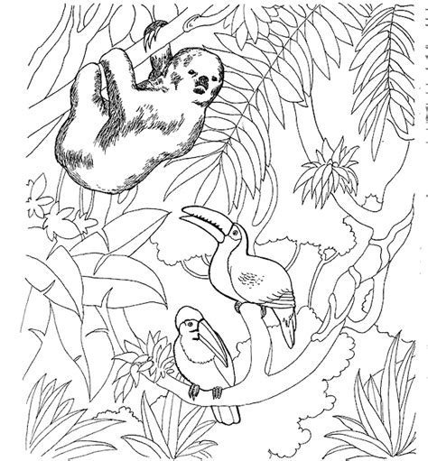 Coloriage Le Zoo Gratuit 11706 Animaux