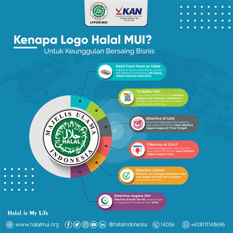 Logo Majelis Ulama Indonesia Mui Format Vektor Cdr Eps Ai Svg Png Images