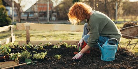 Four Weeks Of Gardening Improves Mood And Reduces Depressive Symptoms