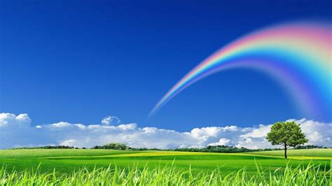 Blue Sky Rainbow Wallpapers Wallpaper Cave