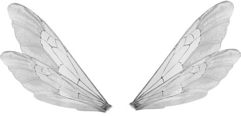 Download Male Fairy Wings Png Transparent Png Vhv