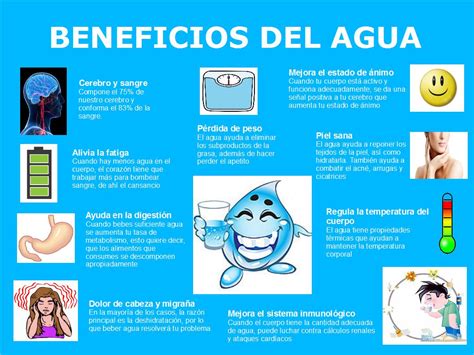 Beneficios Del Agua Expertos En Nutrición Amo