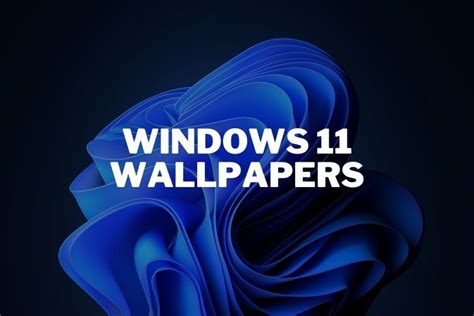 Windows 11 Wallpaper Spotlight 2024 Win 11 Home Upgrade 2024