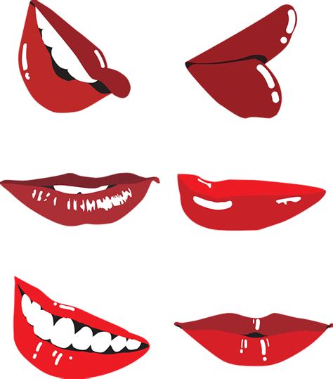 Chilli red pepper free vector graphic on pixabay. 무료 벡터 그래픽: 웃음, 스마일, 아웃라인, 입술, 미소, 아름다움, 벡터, 개요 - Pixabay의 ...