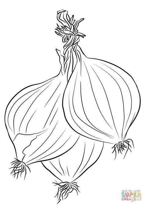 Three Onions Coloring Page Free Printable Coloring Pages