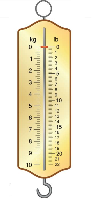 Draw A Neat Labelled Diagram Of A Spring Balance