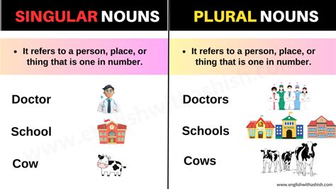 Singular And Plural Nouns Definitions Rules Examples 54 OFF