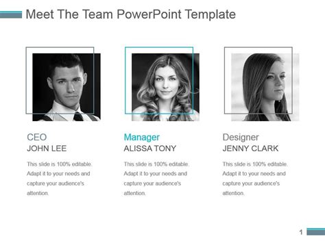 Meet The Team Powerpoint Template Powerpoint Slide Template