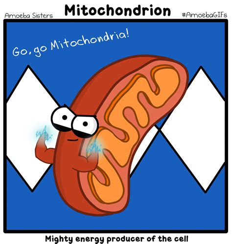 Start a free trial today! Mitochondria GIF by SarinaSunbeam on DeviantArt