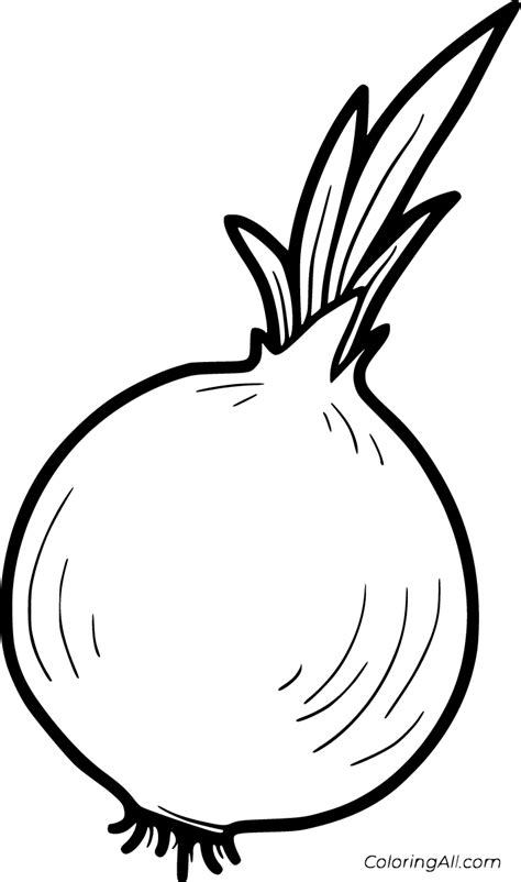 Onion Coloring Pages 14 Free Printables ColoringAll