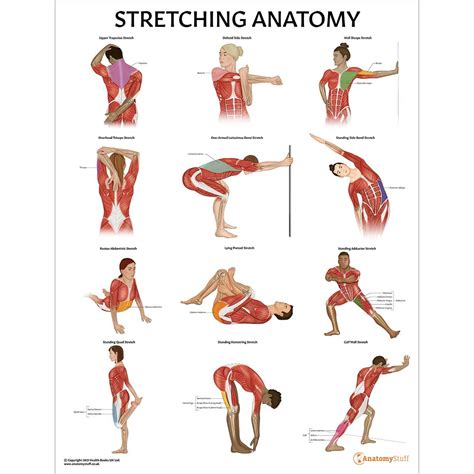 Stretching Chart