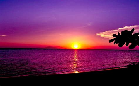 19 Sunset Wallpaper Cute Joen Wallpaper