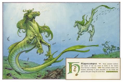 Hippocampus Warriors Of Myth Wiki Fandom Powered By Wikia