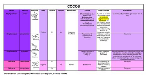 Cuadros Bacterias Resumen Microbiolog A I Cocos Genero Especie