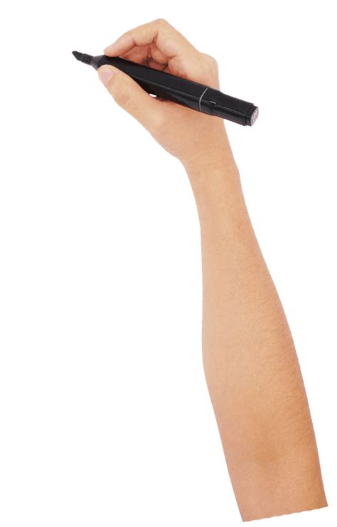 Hand Pen Finger Holding The Gesture Transparent Hq Png Download