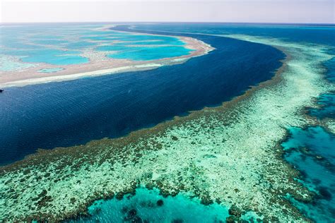 Hardy reef, on australia's great barrier reef. Great Barrier Reef: 27m high tsunami caused world's ...