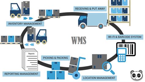 WMS là gì Tại sao nên sử dụng hệ thống quản lý kho hàng WMS Petdaichien