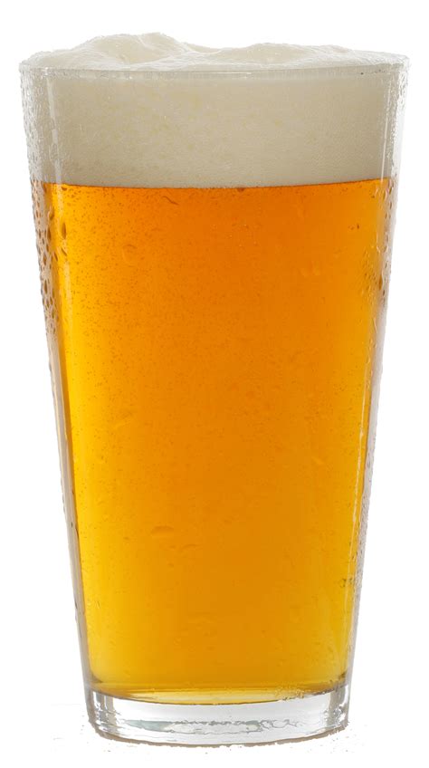 Beer In Mug PNG Image PurePNG Free Transparent CC0 PNG Image Library