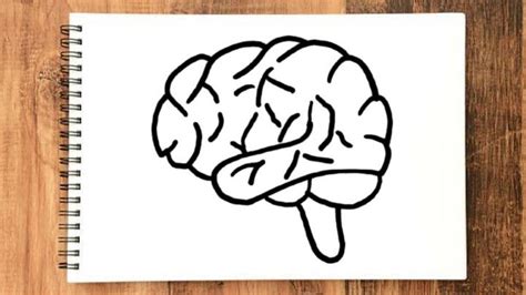 20 Easy Brain Drawing Ideas How To Draw A Brain Blitsy