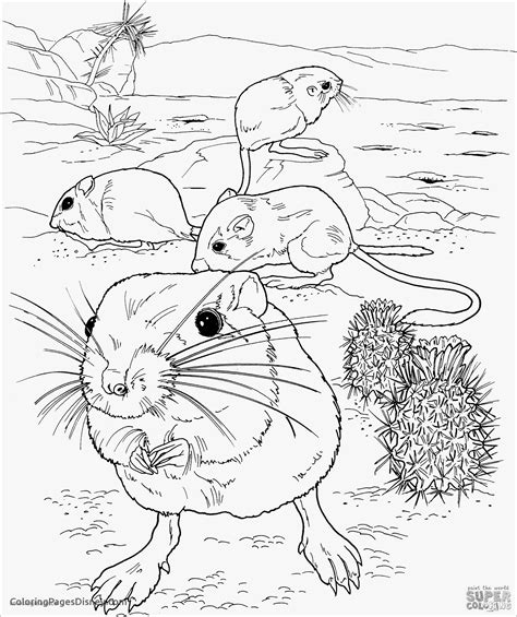 Mole Rat Coloring Pages ColoringBay