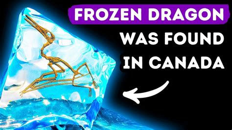 Frozen Dragon Species Was Trapped In Ice For 76 Mln Years