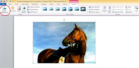 How To Remove Image Background In Word Digginet