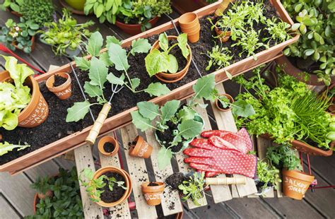 8 Simple Ways To Get Your Garden Ready For Spring Planting