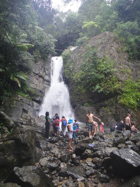 El Yunque National Forest Puerto Rico